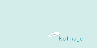 画像なし記事用　NoImage　ミクロスブログ